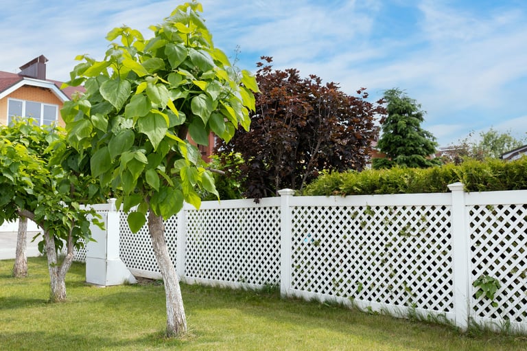 Catalpa ornamental trees planted along a white plastic fence