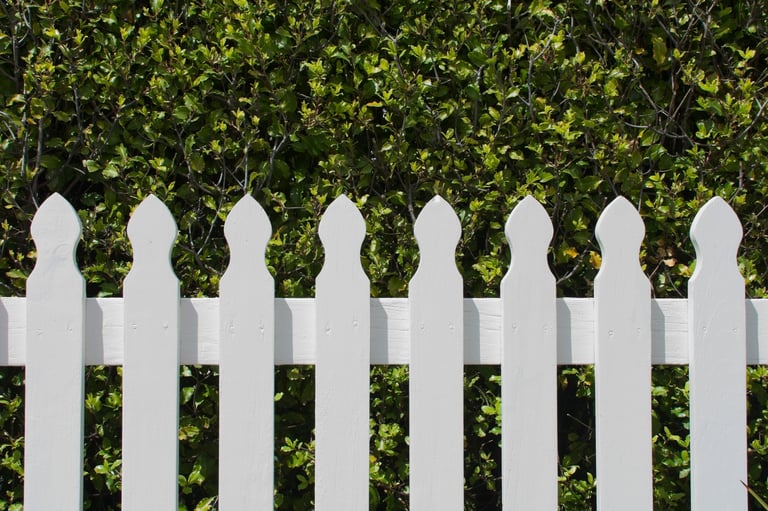 A white picket fence in the suburbs with a green hedge